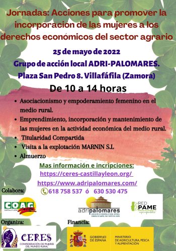 Jornada TC